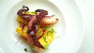 Alcohol delivery in Toronto | an octopus dish at Northern Maverick brewery, bottleshop and restaurant
