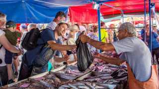 Take a trip to Malta | Fish market in Marsaxlokk, Malta