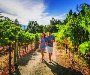 The best things to do in California | A couple stroll through vineyards
